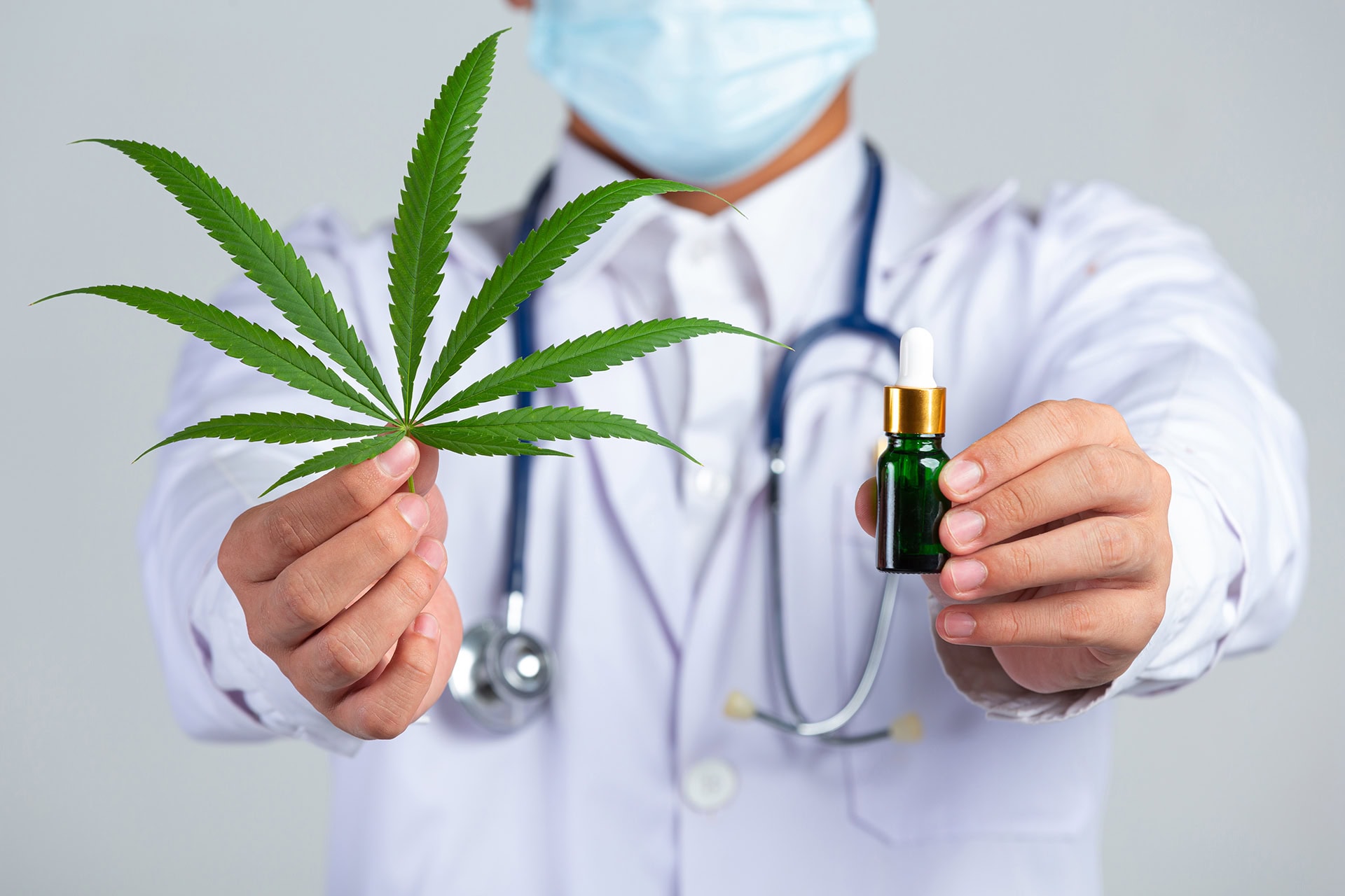 Cannabis gegen den Hunger – Prof. Dr. Markus Masin über neue Therapieansätze bei Tumorkachexie